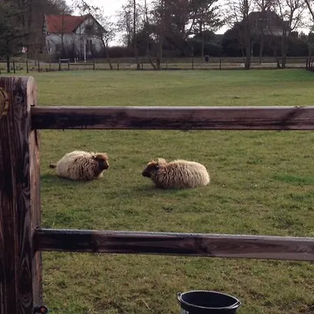 De Kievit * Vogelenzang