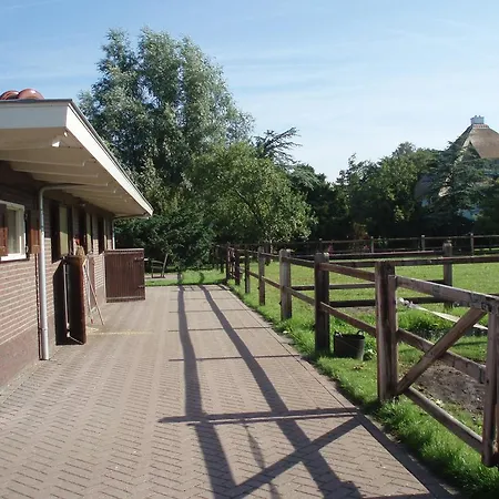 Dom wakacyjny De Kievit *